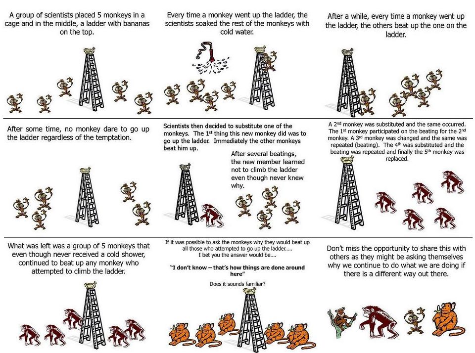 https://skeptics.stackexchange.com/questions/6828/was-the-experiment-with-five-monkeys-a-ladder-a-banana-and-a-water-spray-condu